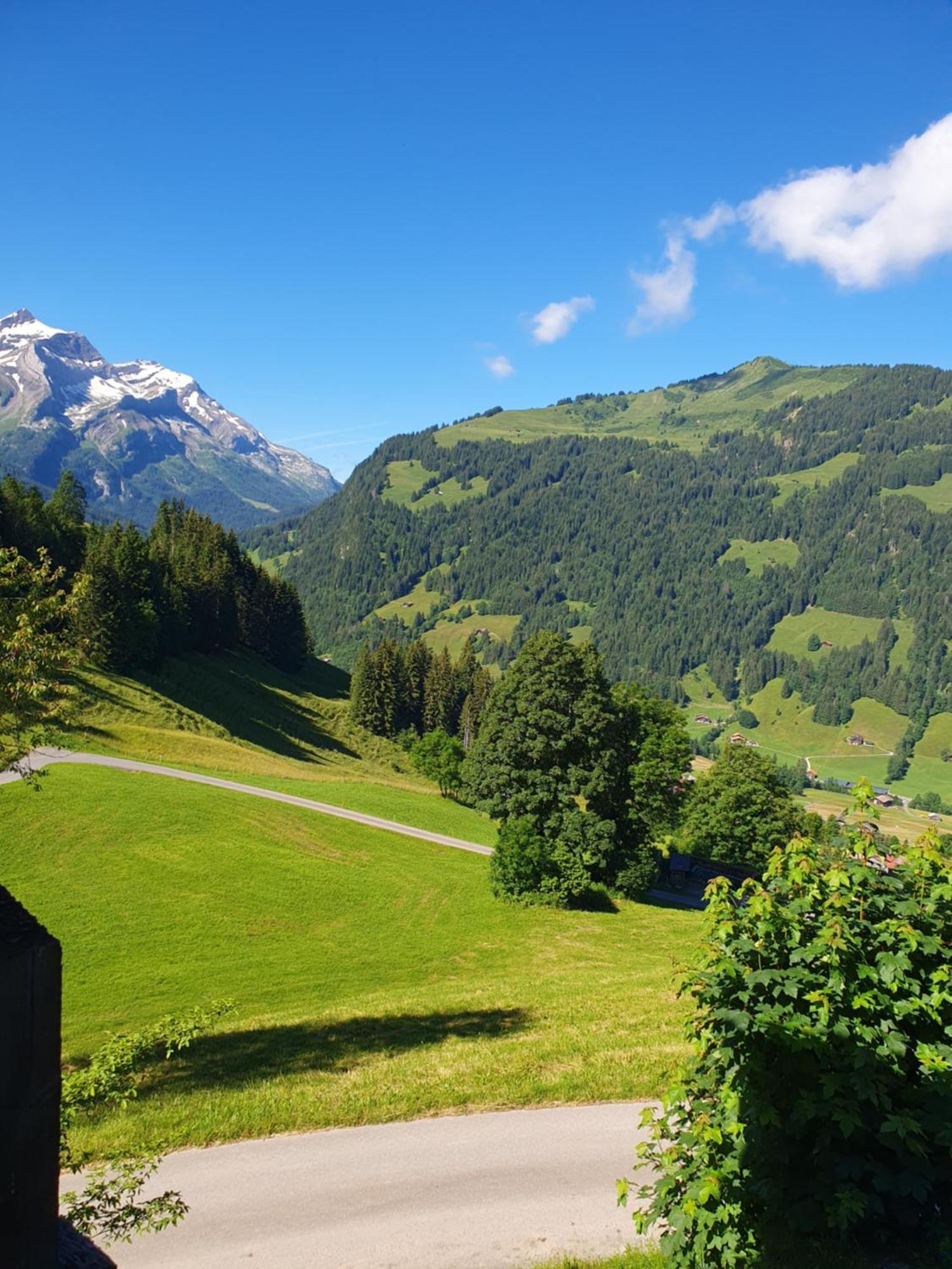 Bauernhaus Gschwend Gsteig المظهر الخارجي الصورة